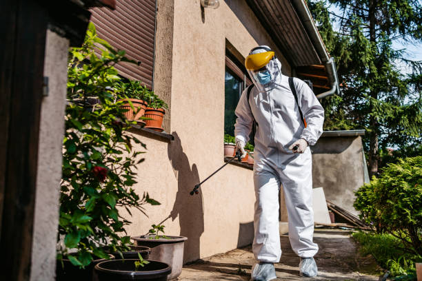 Best Wildlife Control Services  in Sandy Oaks, TX
