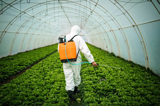 Pest Prevention Services in Sandy Oaks, TX