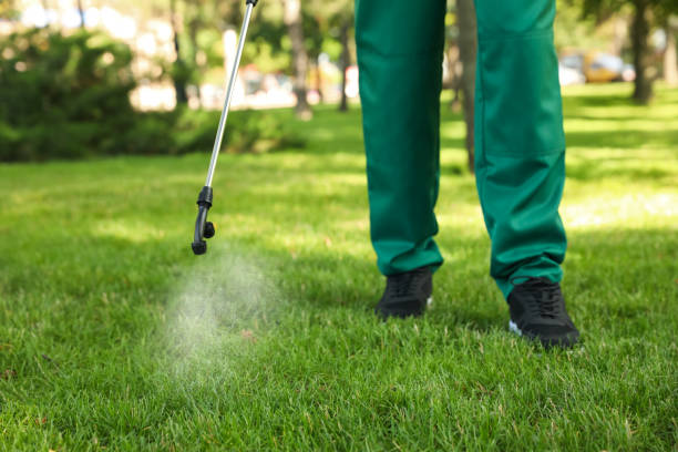 Best Affordable Pest Control Services  in Sandy Oaks, TX