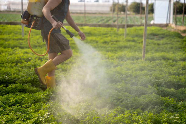 Best Pest Control Cost  in Sandy Oaks, TX