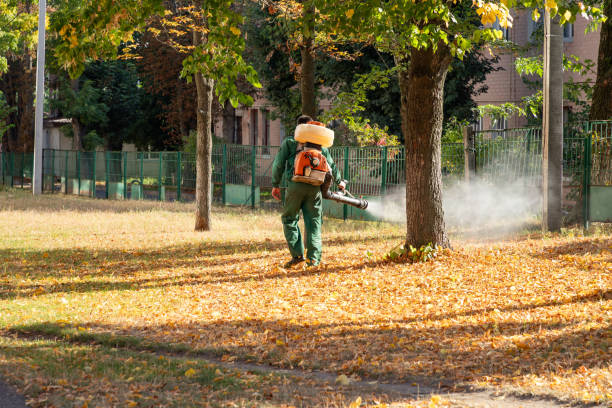 Pest Control Cost in Sandy Oaks, TX